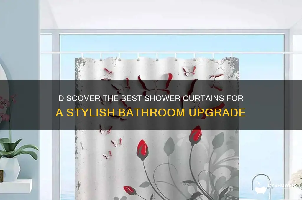 who has nice shower curtains
