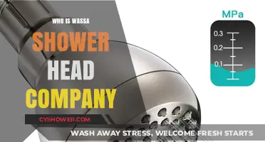 Discovering Wassa: The Story Behind the Shower Head Company