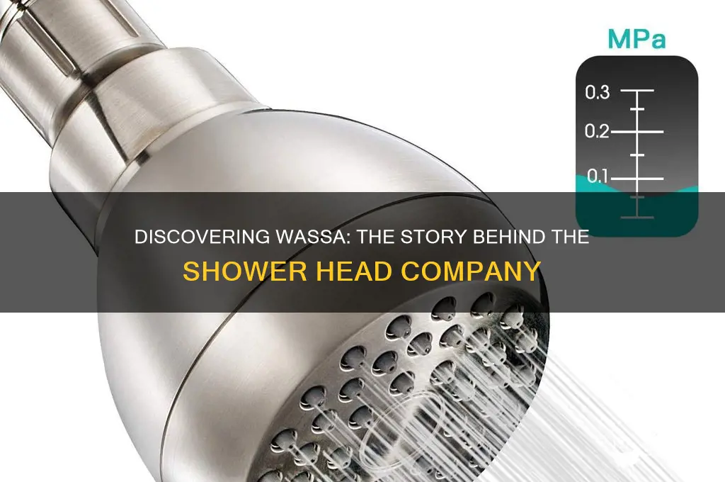 who is wassa shower head company