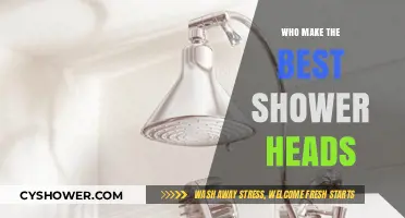 Discover the Top Brands Crafting the Best Shower Heads Today