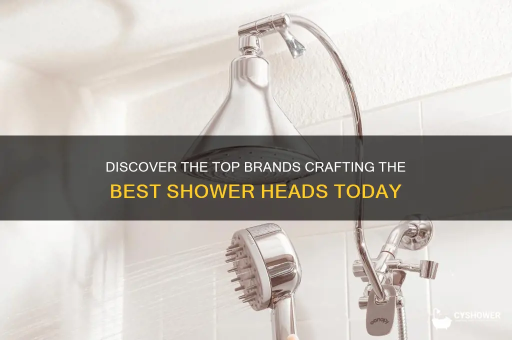who make the best shower heads