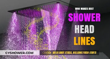 Top Shower Head Brands: Who Makes the Best Lines?