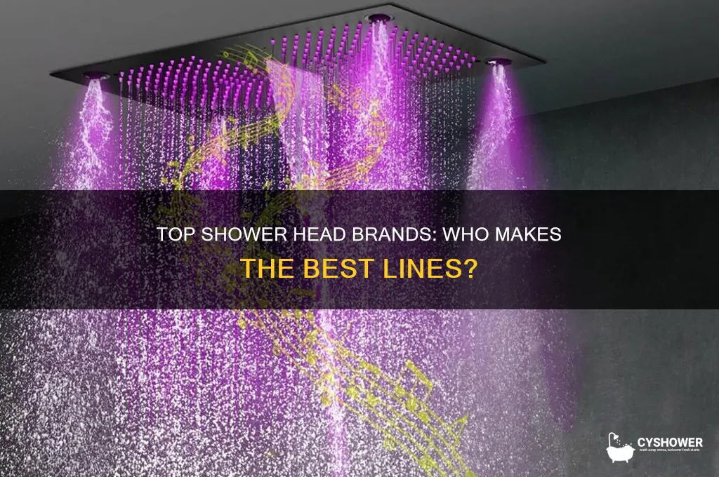who makes best shower head lines