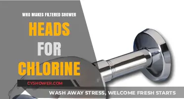 Top Brands Crafting Chlorine-Filtering Shower Heads for Healthier Skin