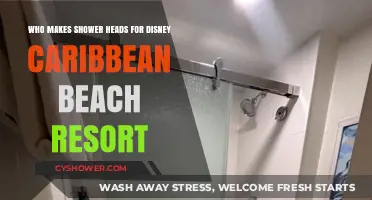 Behind the Scenes: Shower Head Manufacturers for Disney's Caribbean Beach Resort