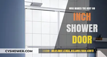 Top-Rated 60-Inch Shower Door Brands: A Comprehensive Comparison Guide