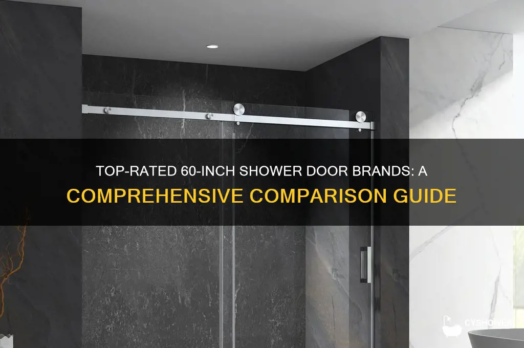who makes the best 60 inch shower door