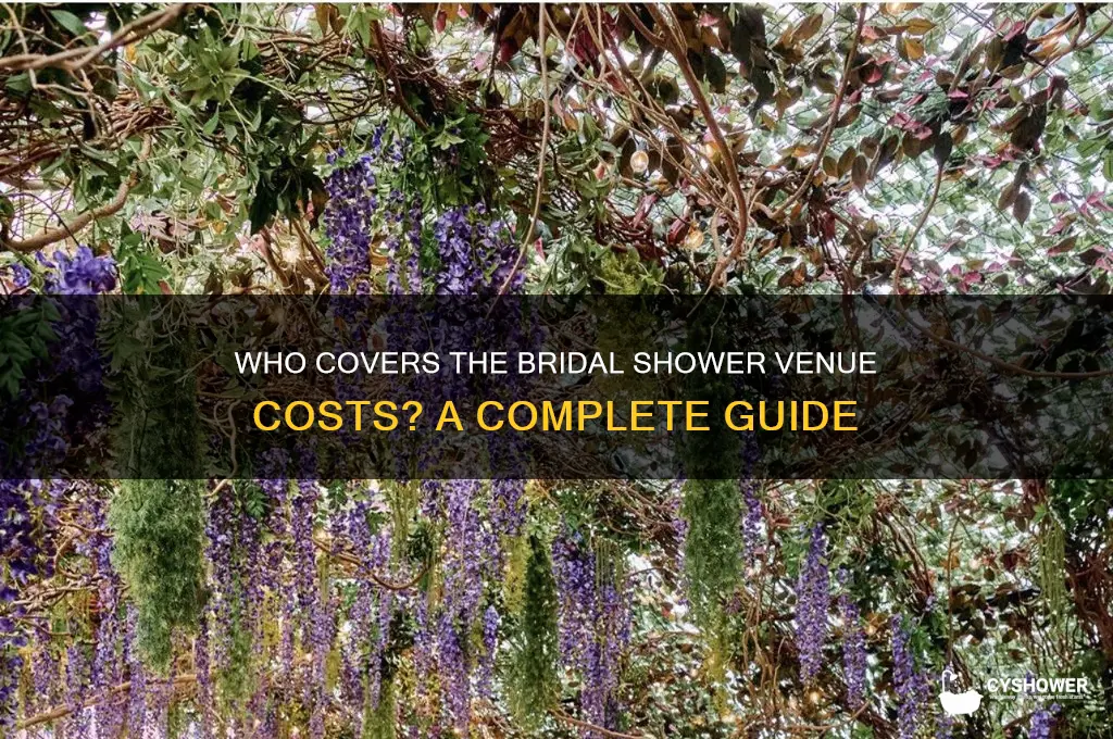 who pays for the bridal shower venue