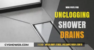 Who's Responsible for Unclogging Shower Drains: Landlord or Tenant?