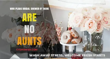 Bridal Shower Planning: Who Takes the Lead Without Aunts?