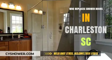 Charleston SC Shower Door Replacement Experts: Who to Call