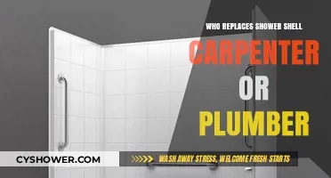 Carpenter or Plumber: Who's the Right Pro to Replace Your Shower Shell?
