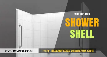 Replacing Your Shower Shell: Who to Hire and What to Expect