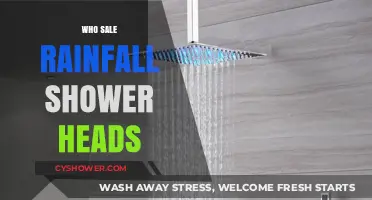 Where to Buy Rainfall Shower Heads: Top Retailers and Brands
