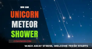 Unicorn Meteor Shower: Who Witnessed the Rare Celestial Spectacle?