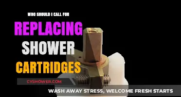 Need Shower Cartridge Replacement? Here's Who to Call for Expert Help