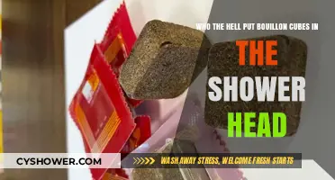 Showerhead Surprise: The Bizarre Case of Bouillon Cubes in the Shower