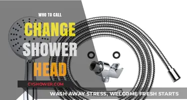 DIY or Hire? Who to Call for Shower Head Replacement