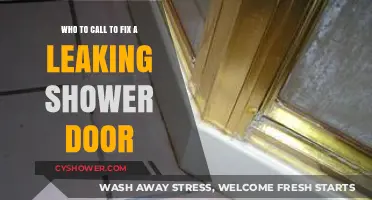Leaking Shower Door? Here's Who to Call for Quick Repairs