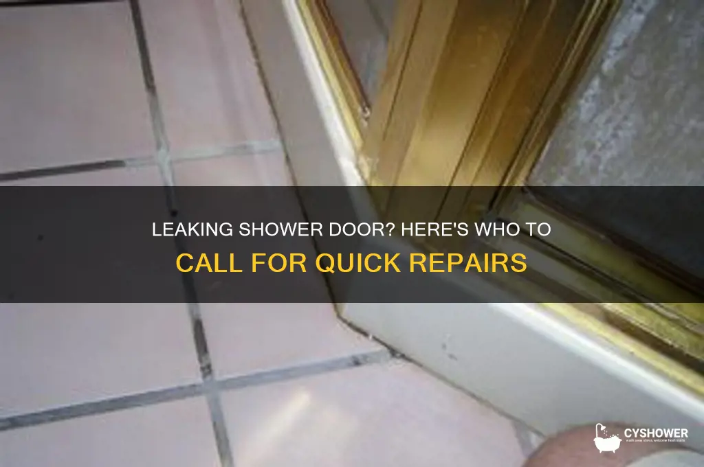 who to call to fix a leaking shower door