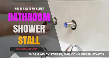 Fixing a Leaky Shower Stall: Who to Call for Repairs