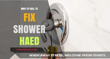 Who to Call for Quick Shower Head Repairs: Expert Tips