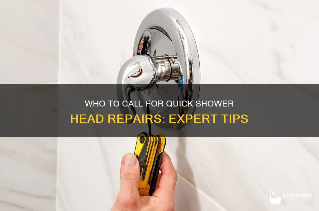 who to call to fix shower haed