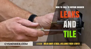 Fixing Shower Leaks and Tile Damage: Your Go-To Repair Experts