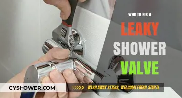 How to Fix a Leaky Shower Valve: Step-by-Step DIY Guide