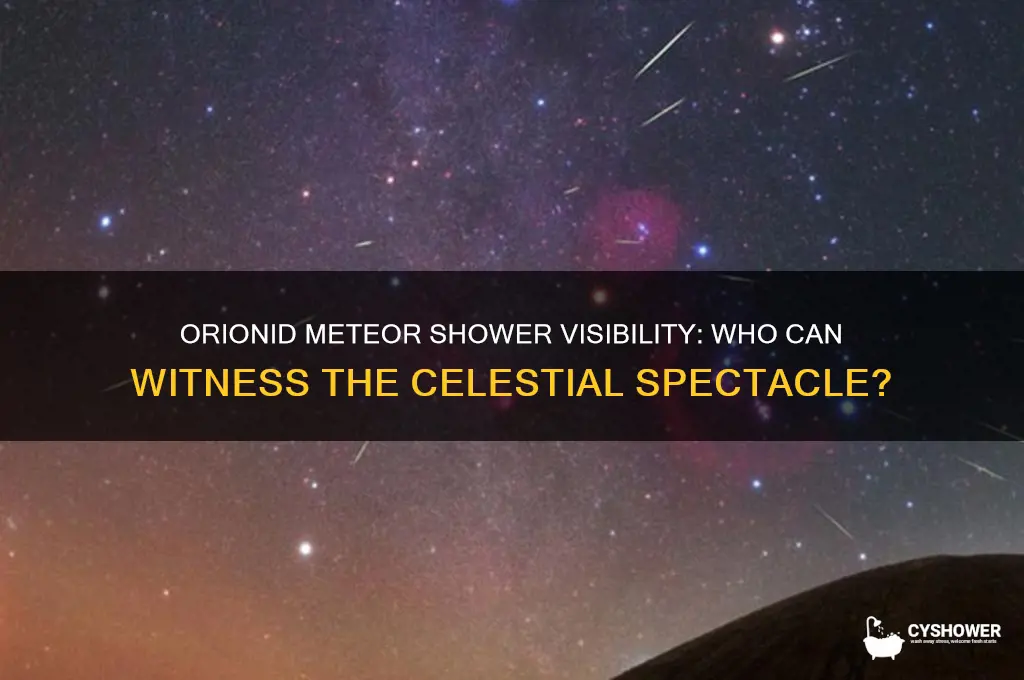 who will be able to see the orionid meteor shower