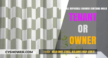 Shower Curtain Mold: Tenant or Owner Responsibility Explained