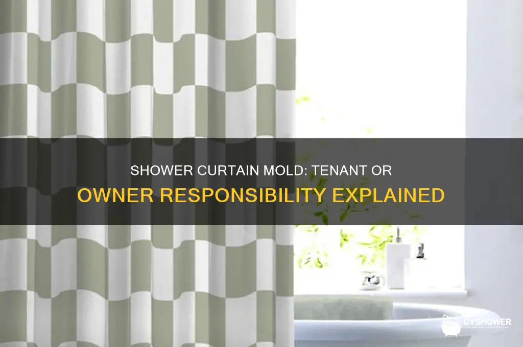 who will reposible shower curtains mold tenant or owner