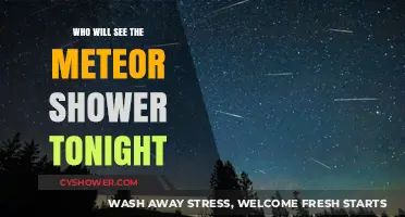 Tonight's Meteor Shower: Who Can Witness the Celestial Spectacle?