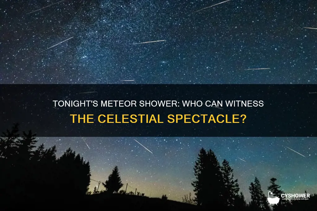 who will see the meteor shower tonight