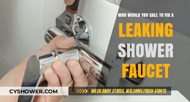 Fixing a Leaking Shower Faucet: Who to Call for Quick Repairs