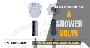 Need Shower Valve Replacement? Here’s Who to Call for Quick Fixes