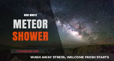 Unveiling the Creative Mind Behind the Hit Song 'Meteor Shower