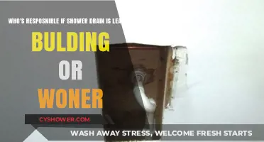 Shower Drain Leak: Building Management or Owner Responsibility Explained