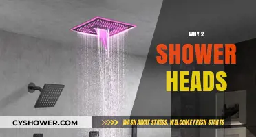 Double the Shower Heads, Double the Luxury and Efficiency