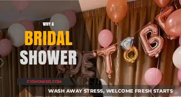 Celebrating the Bride: The Joy and Purpose of a Bridal Shower