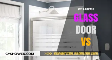 Shower Glass Doors vs. Alternatives: Pros, Cons, and Best Choice