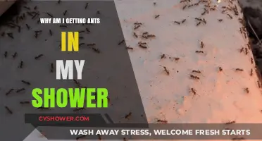 Ants in the Shower: Causes, Prevention, and Effective Solutions Explained