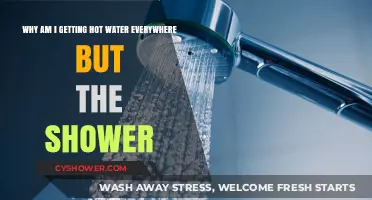 Hot Water Woes: Why Your Shower's Left Out in the Cold