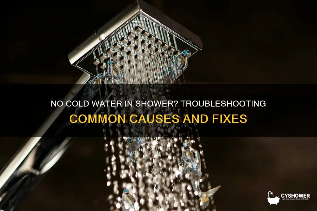 why am i not getting cold water in my shower