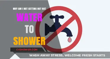 No Hot Water for Showers? Troubleshooting Your Water Heater Issues