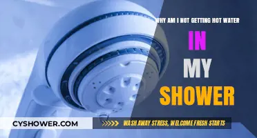 No Hot Water in Shower? Troubleshooting Common Causes and Fixes