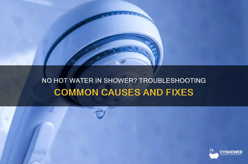 why am i not getting hot water in my shower