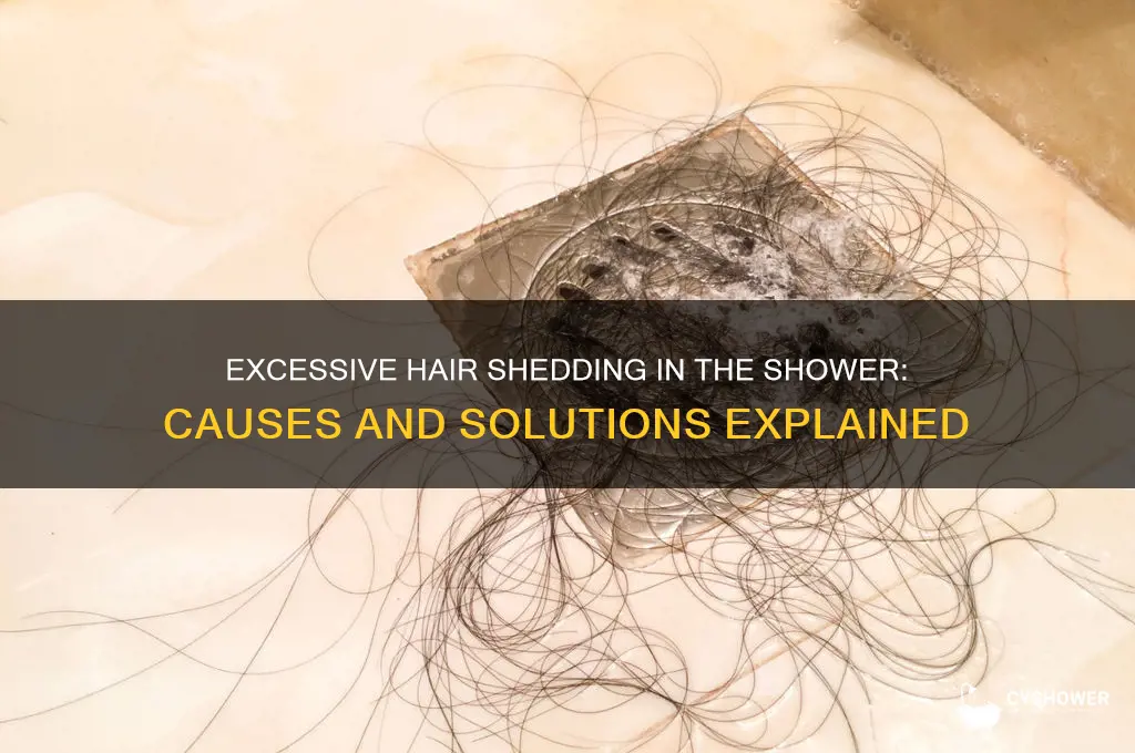 why am i shedding so much hair in the shower