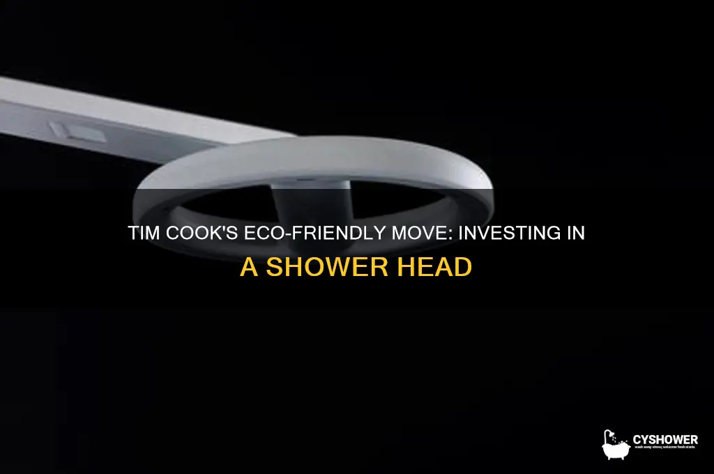 why apple ceo tim cook invested in a shower head
