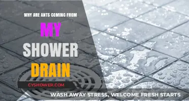 Ants in Shower Drain: Causes, Prevention, and Effective Solutions